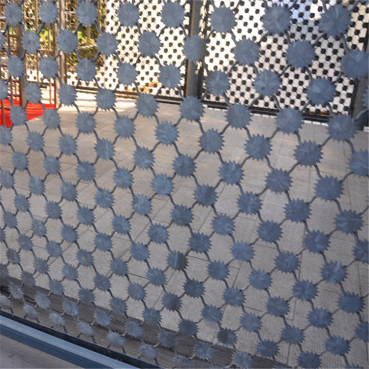 雪花刺片隔離網圖片3